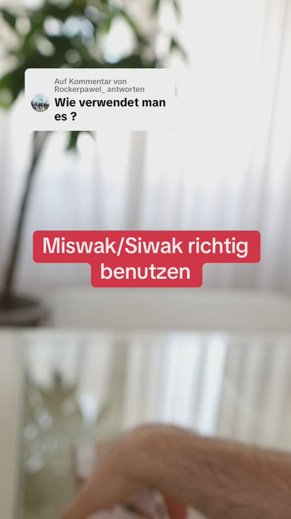 Miswak richtig benutzen